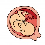 妊娠している時に横向き寝すると赤ちゃんに悪影響ってあるの？