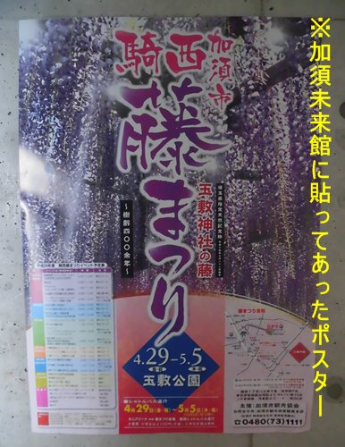加須の玉敷神社で開催される藤まつりのポスター
