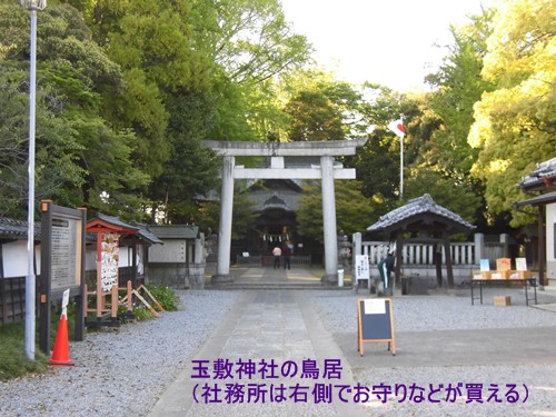 加須 玉敷神社の鳥居