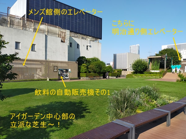 伊勢丹新宿の屋上アイガーデンの中心部芝生